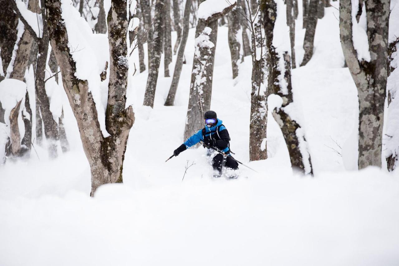 Hakuba Cortina Lodge Otari Eksteriør billede